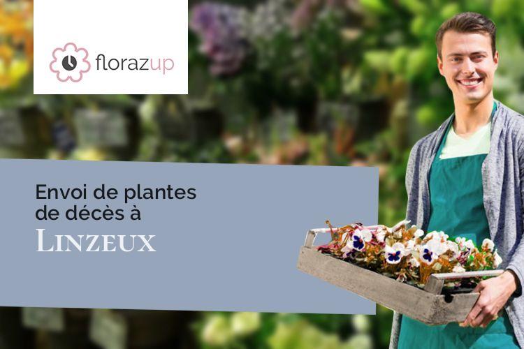 créations de fleurs pour un décès à Linzeux (Pas-de-Calais/62270)