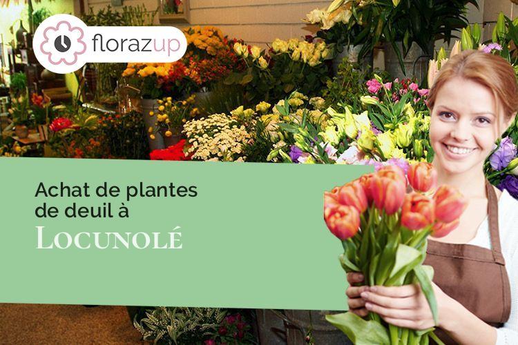 compositions florales pour une crémation à Locunolé (Finistère/29310)