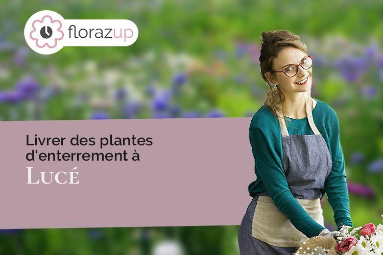 compositions de fleurs pour un décès à Lucé (Eure-et-Loir/28110)