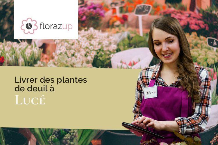 créations florales pour des obsèques à Lucé (Orne/61330)