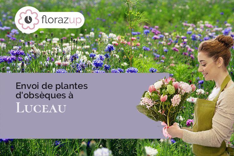 compositions de fleurs pour des funérailles à Luceau (Sarthe/72500)