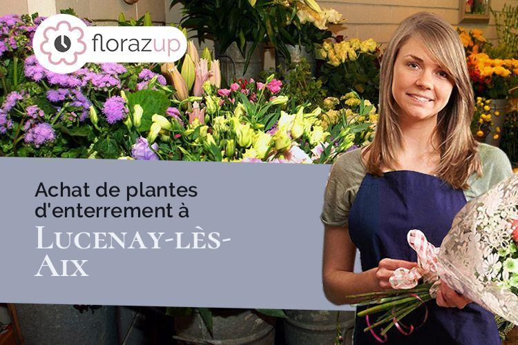 gerbes de fleurs pour un deuil à Lucenay-lès-Aix (Nièvre/58380)