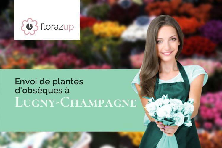 coeurs de fleurs pour une crémation à Lugny-Champagne (Cher/18140)