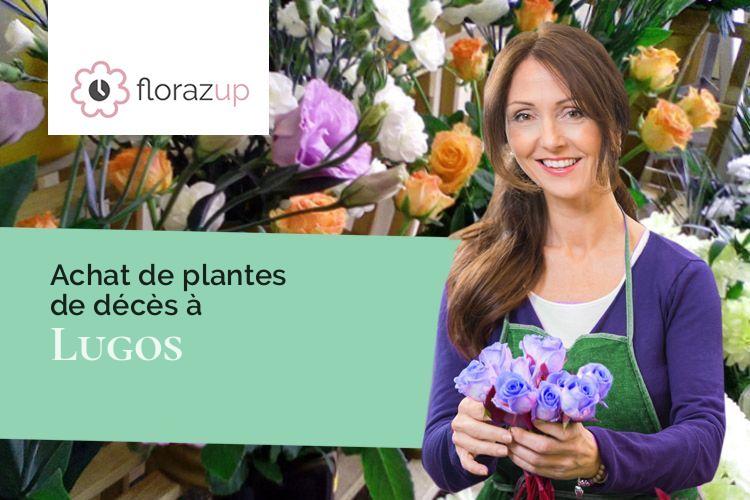 bouquets de fleurs pour un décès à Lugos (Gironde/33830)
