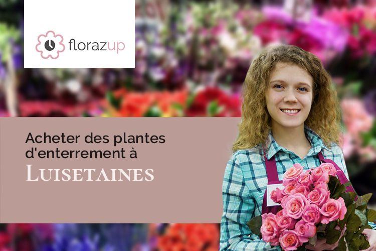 fleurs deuil pour un deuil à Luisetaines (Seine-et-Marne/77520)