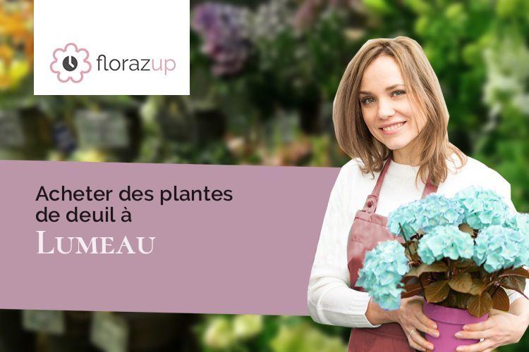 créations florales pour un enterrement à Lumeau (Eure-et-Loir/28140)