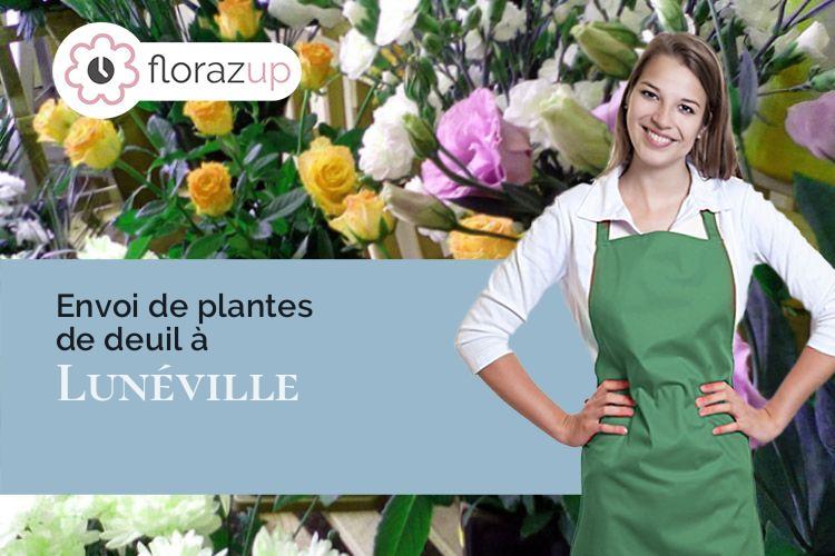 plantes pour un décès à Lunéville (Meurthe-et-Moselle/54300)