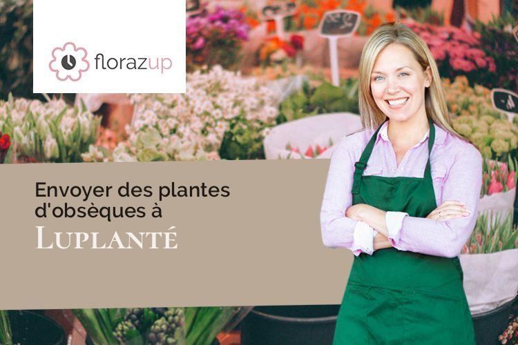 créations de fleurs pour un décès à Luplanté (Eure-et-Loir/28360)