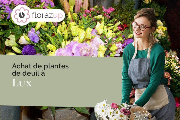 bouquets de fleurs pour un enterrement à Lux (Saône-et-Loire/71100)