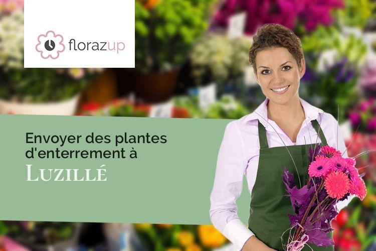 fleurs deuil pour un enterrement à Luzillé (Indre-et-Loire/37150)