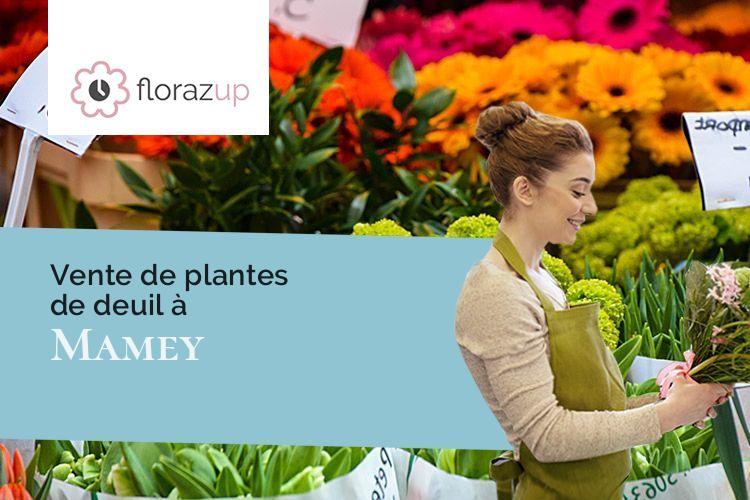 créations florales pour un décès à Mamey (Meurthe-et-Moselle/54470)