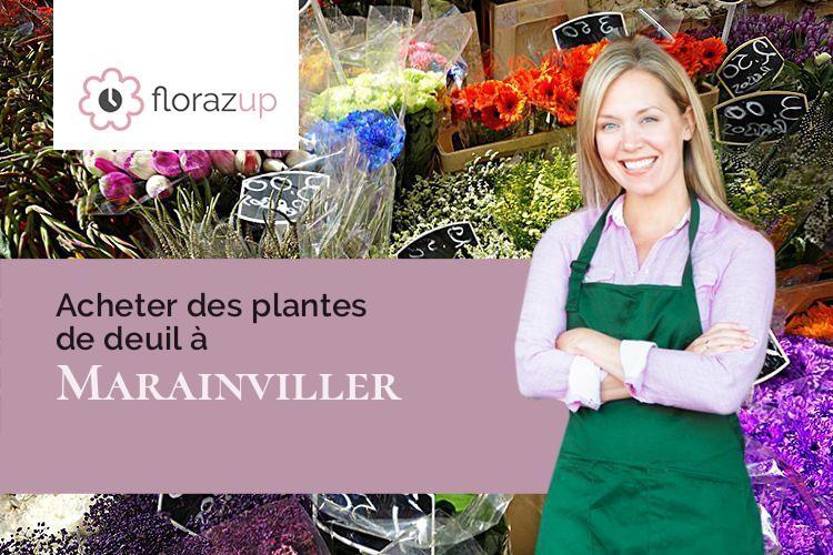 créations de fleurs pour un décès à Marainviller (Meurthe-et-Moselle/54300)