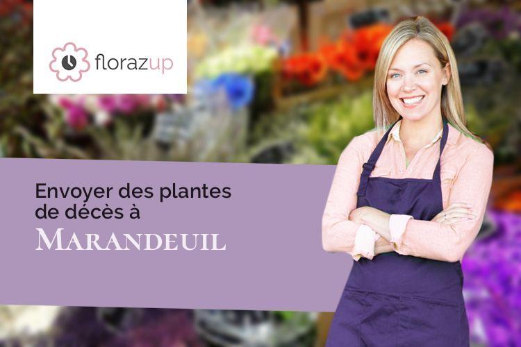 plantes pour un deuil à Marandeuil (Côte-d'Or/21270)