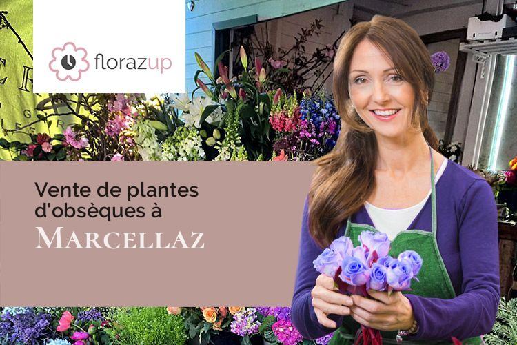 compositions florales pour un enterrement à Marcellaz (Haute-Savoie/74250)