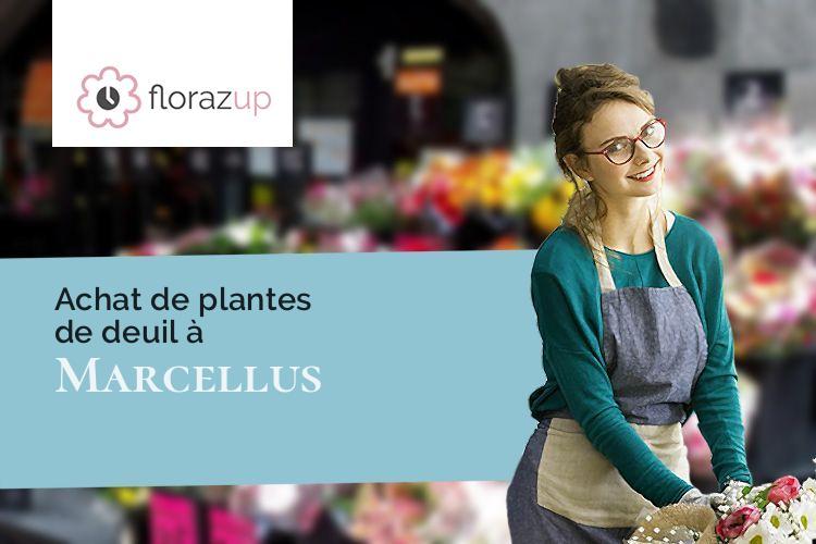 plantes pour des obsèques à Marcellus (Lot-et-Garonne/47200)