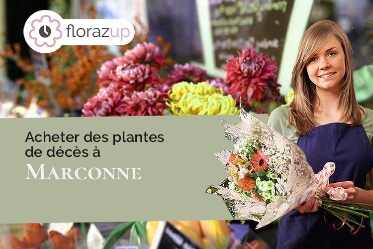 couronnes florales pour une crémation à Marconne (Pas-de-Calais/62140)