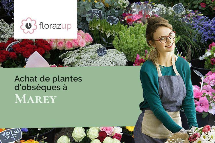 compositions florales pour un décès à Marey (Vosges/88320)