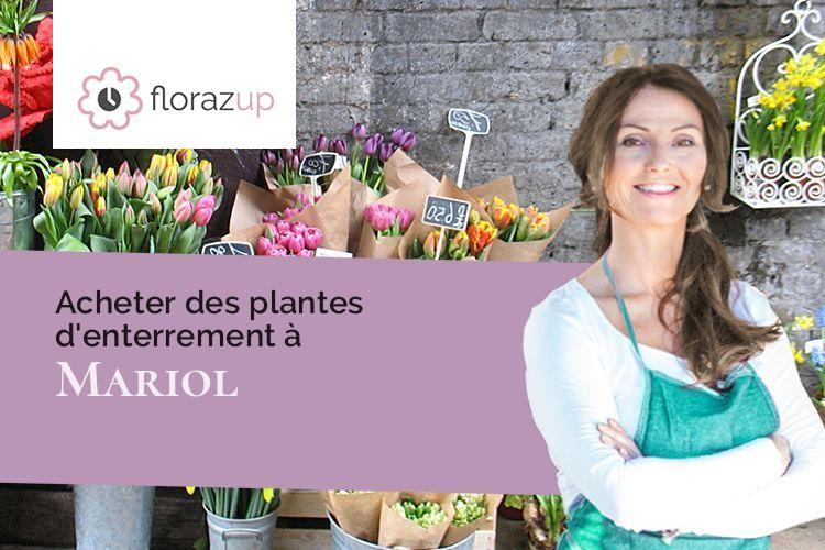 coeurs de fleurs pour des funérailles à Mariol (Allier/03270)