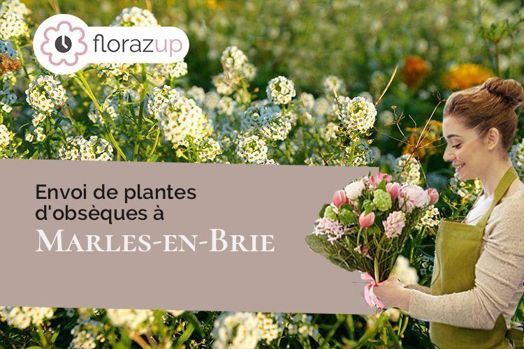 bouquets de fleurs pour des funérailles à Marles-en-Brie (Seine-et-Marne/77610)