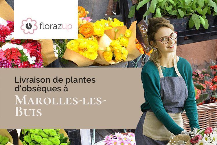 compositions florales pour des funérailles à Marolles-les-Buis (Eure-et-Loir/28400)