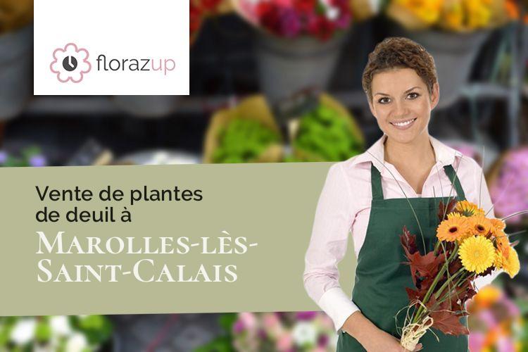 couronnes de fleurs pour un décès à Marolles-lès-Saint-Calais (Sarthe/72120)