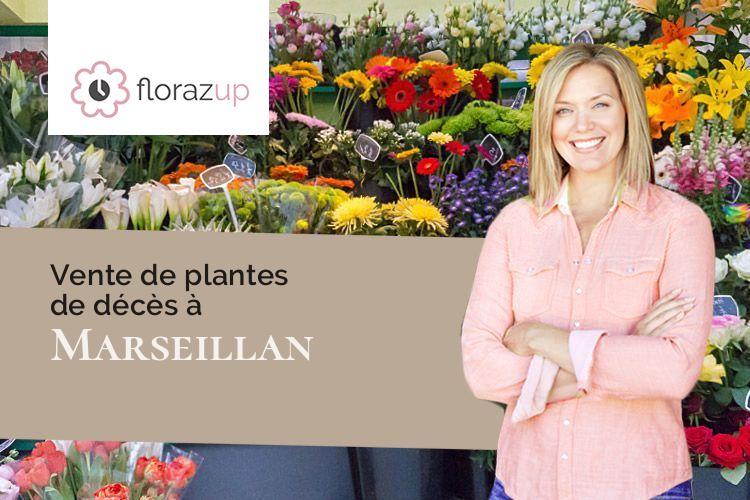 plantes pour un enterrement à Marseillan (Gers/32170)