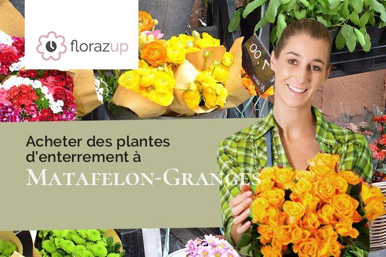 plantes pour un deuil à Matafelon-Granges (Ain/01580)