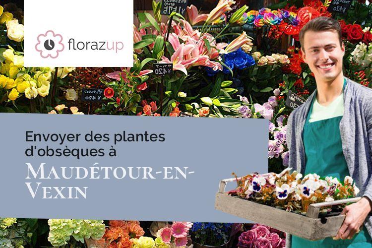 coeurs de fleurs pour des obsèques à Maudétour-en-Vexin (Val-d'Oise/95420)