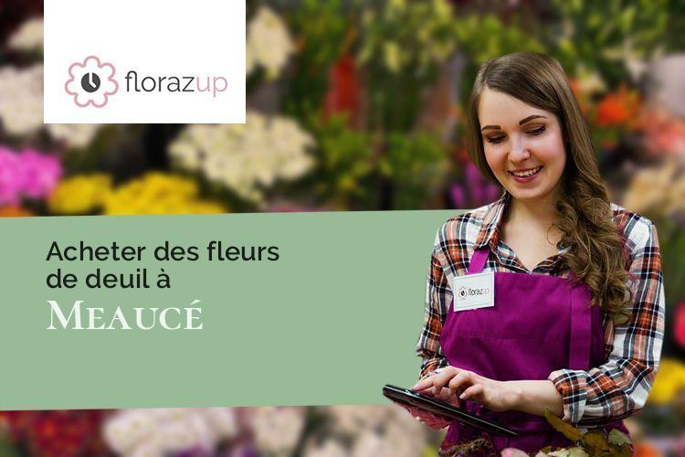 couronnes florales pour un deuil à Meaucé (Eure-et-Loir/28240)