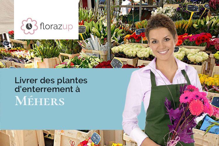 créations de fleurs pour des funérailles à Méhers (Loir-et-Cher/41140)