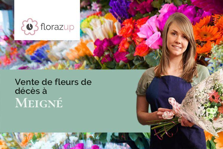 bouquets de fleurs pour des obsèques à Meigné (Maine-et-Loire/49700)