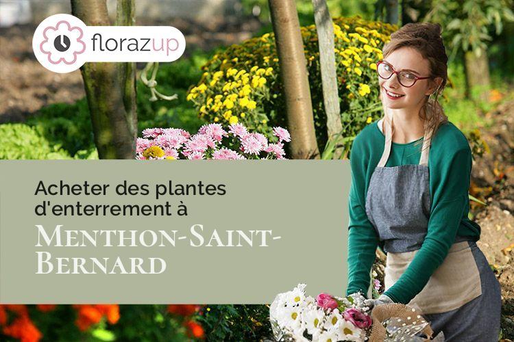 coupes de fleurs pour un décès à Menthon-Saint-Bernard (Haute-Savoie/74290)