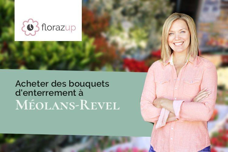 plantes pour un décès à Méolans-Revel (Alpes-de-Haute-Provence/04340)