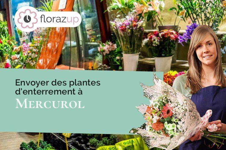 compositions florales pour un décès à Mercurol (Drôme/26600)