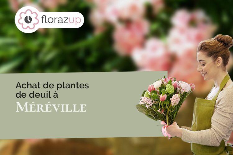 compositions florales pour des funérailles à Méréville (Meurthe-et-Moselle/54850)
