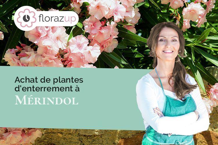 créations florales pour un enterrement à Mérindol (Vaucluse/84360)