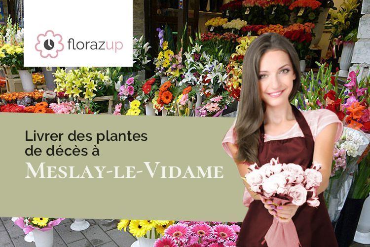 bouquets de fleurs pour un enterrement à Meslay-le-Vidame (Eure-et-Loir/28360)