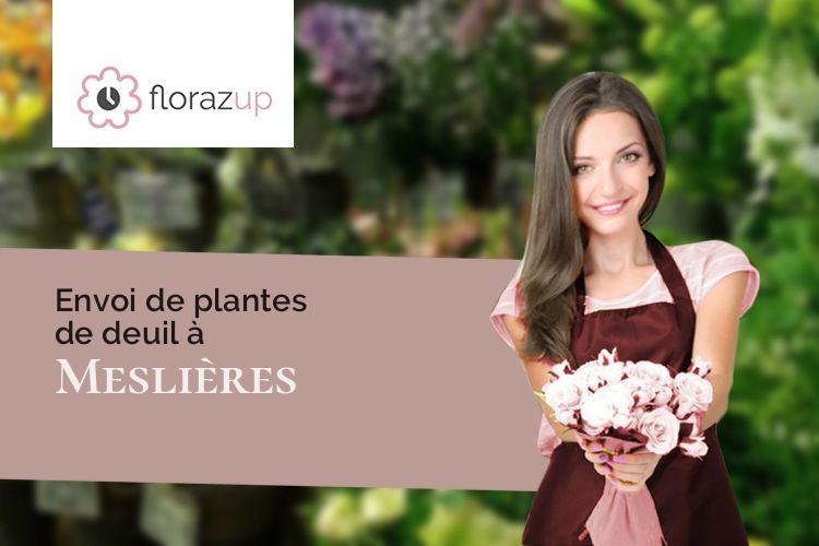 couronnes florales pour des funérailles à Meslières (Doubs/25310)
