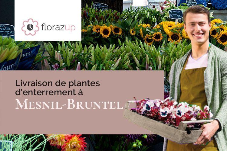 gerbes de fleurs pour un décès à Mesnil-Bruntel (Somme/80200)