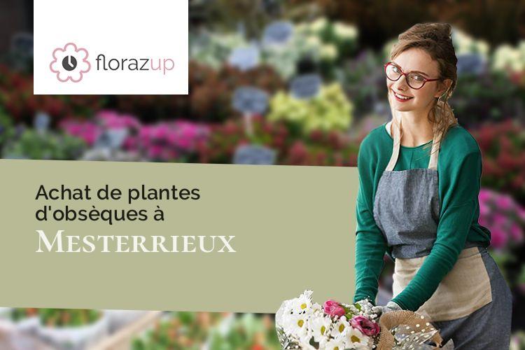 couronnes de fleurs pour un enterrement à Mesterrieux (Gironde/33540)