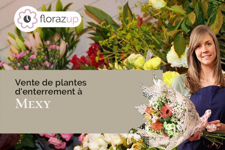 couronnes florales pour un enterrement à Mexy (Meurthe-et-Moselle/54135)