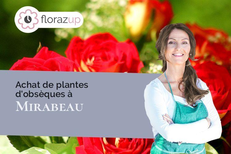 couronnes de fleurs pour un deuil à Mirabeau (Vaucluse/84120)