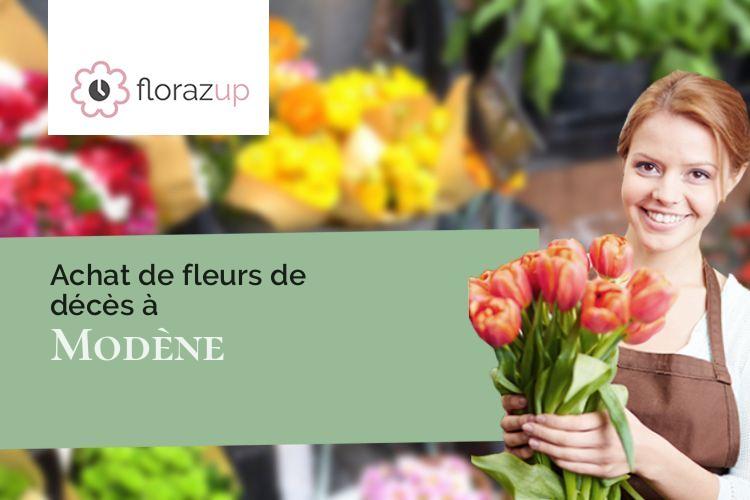 plantes pour des obsèques à Modène (Vaucluse/84330)