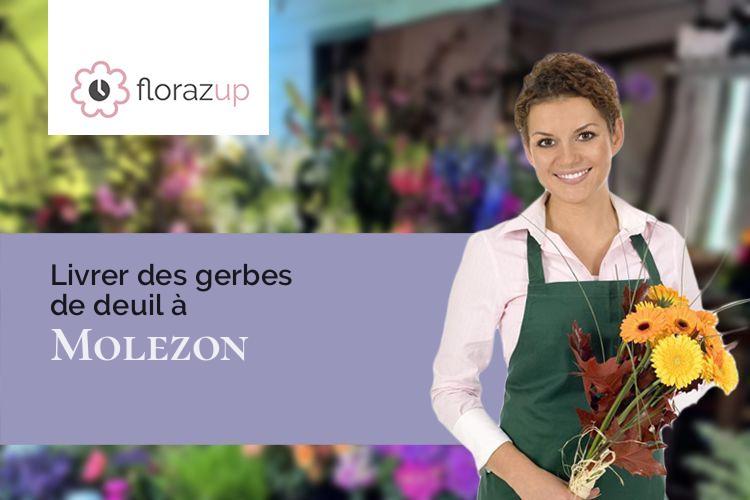 couronnes de fleurs pour un décès à Molezon (Lozère/48110)