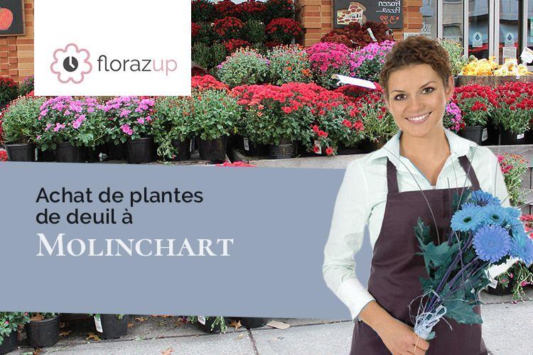 plantes pour des funérailles à Molinchart (Aisne/02000)