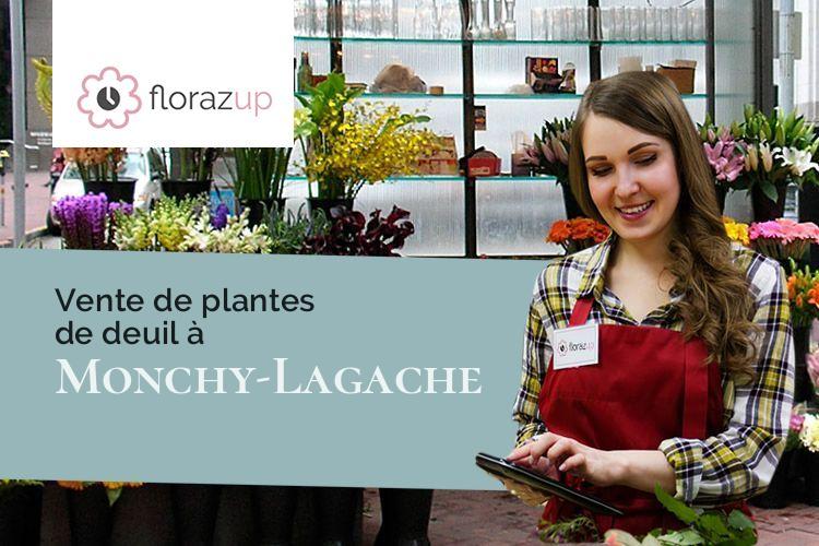 plantes pour des obsèques à Monchy-Lagache (Somme/80200)