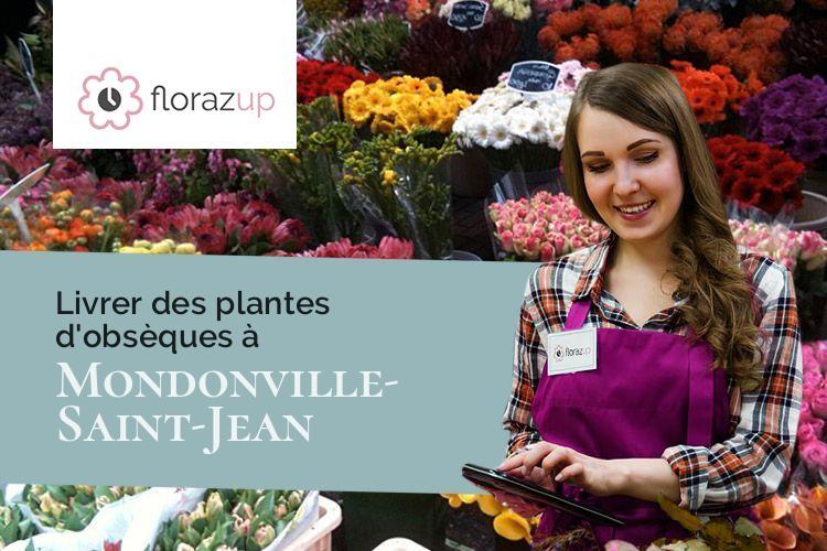 couronnes de fleurs pour des funérailles à Mondonville-Saint-Jean (Eure-et-Loir/28700)