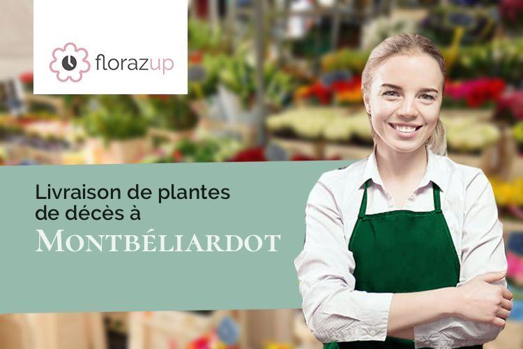 plantes pour un enterrement à Montbéliardot (Doubs/25210)