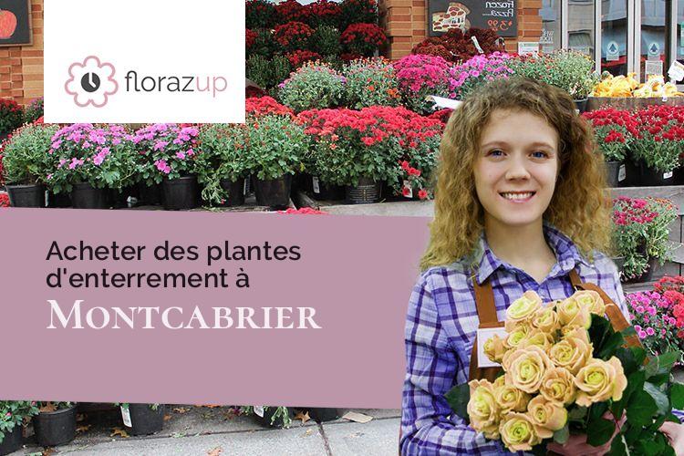 bouquets de fleurs pour une crémation à Montcabrier (Tarn/81500)