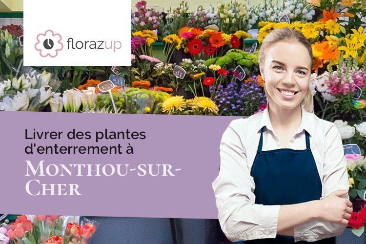 plantes pour un enterrement à Monthou-sur-Cher (Loir-et-Cher/41400)